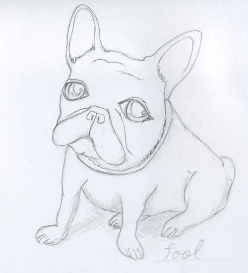 フレンチブルドッグの子犬のイラストを描いてみた フレンチブルドッググッズマニア